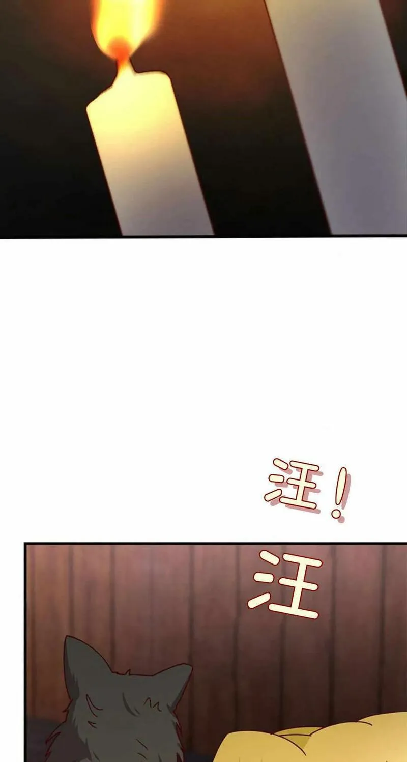 伯爵小姐的双重生活漫画,第54话62图