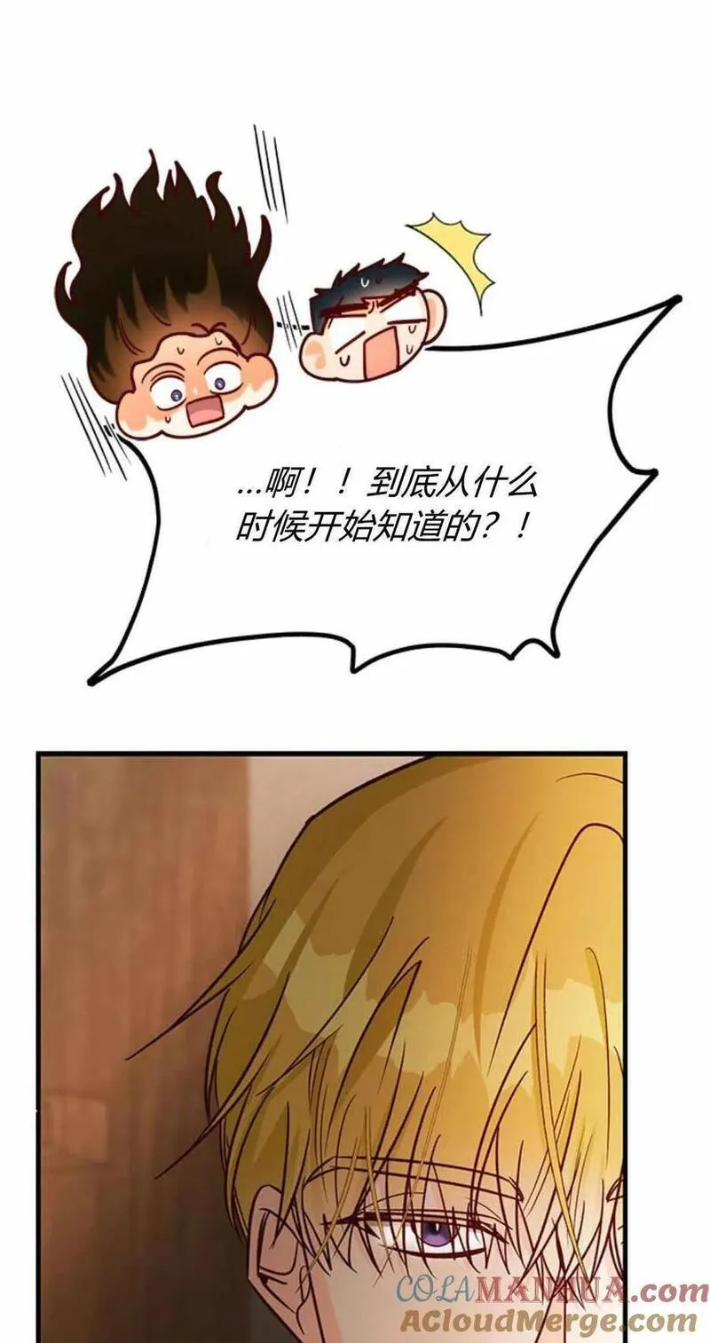 伯爵小姐的双重生活漫画,第58话85图