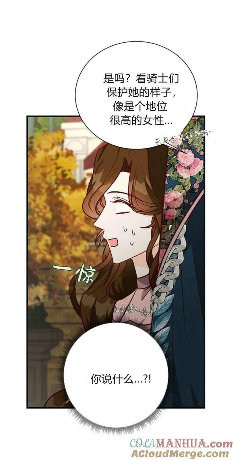 伯爵小姐的双重生活漫画,第60话52图