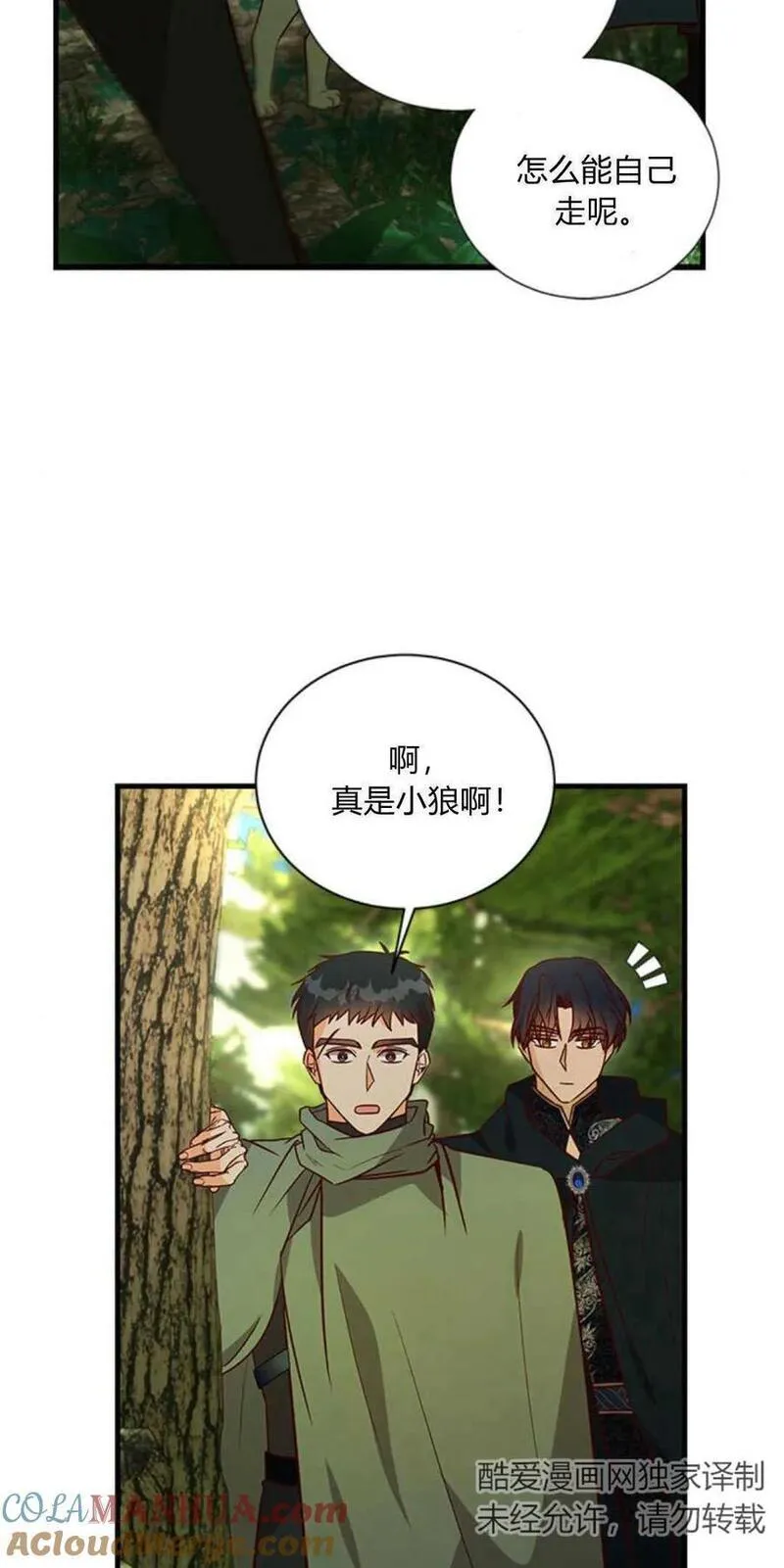 伯爵小姐的双重生活漫画,第66话45图