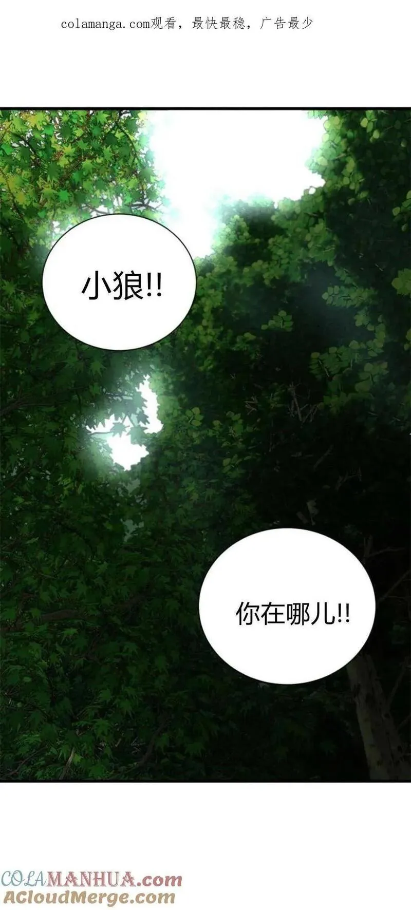 伯爵小姐的双重生活漫画,第66话1图