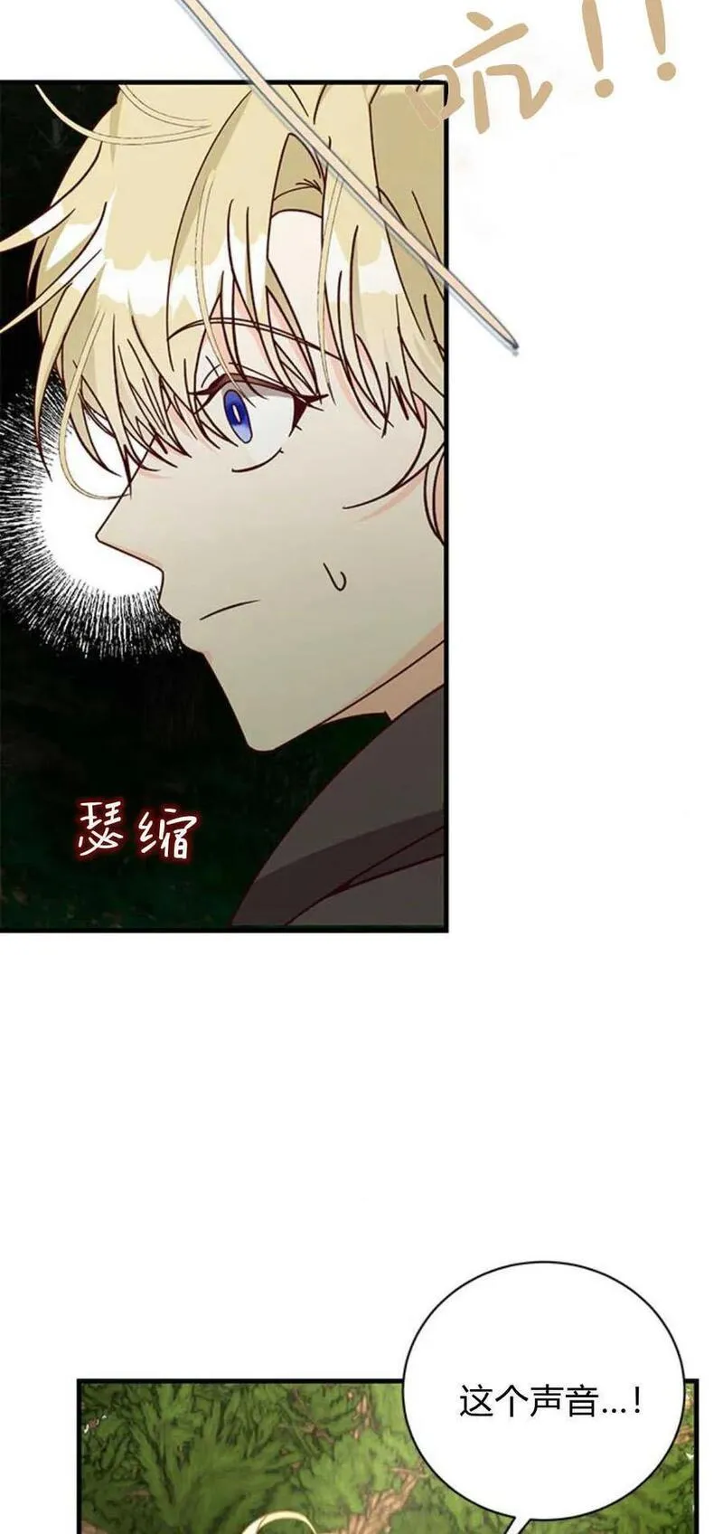 伯爵小姐的双重生活漫画,第66话14图