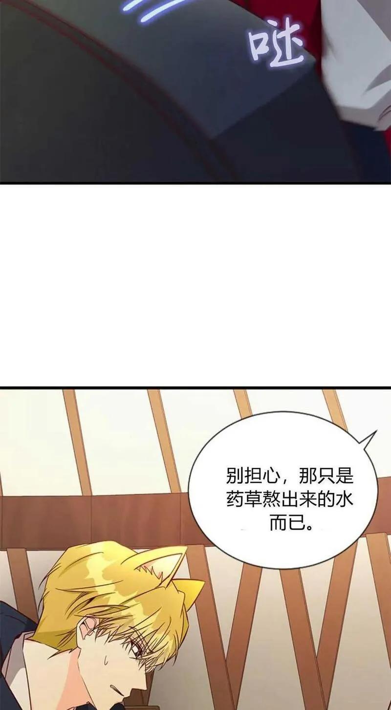 伯爵小姐的双重生活漫画,第67话18图