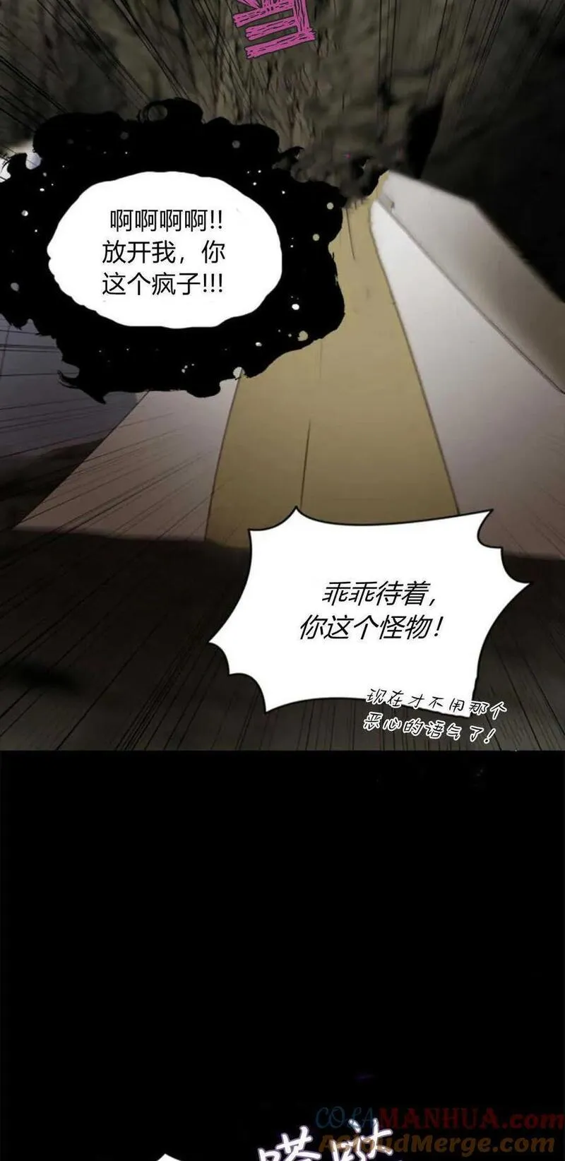 伯爵小姐的双重生活漫画,第69话25图