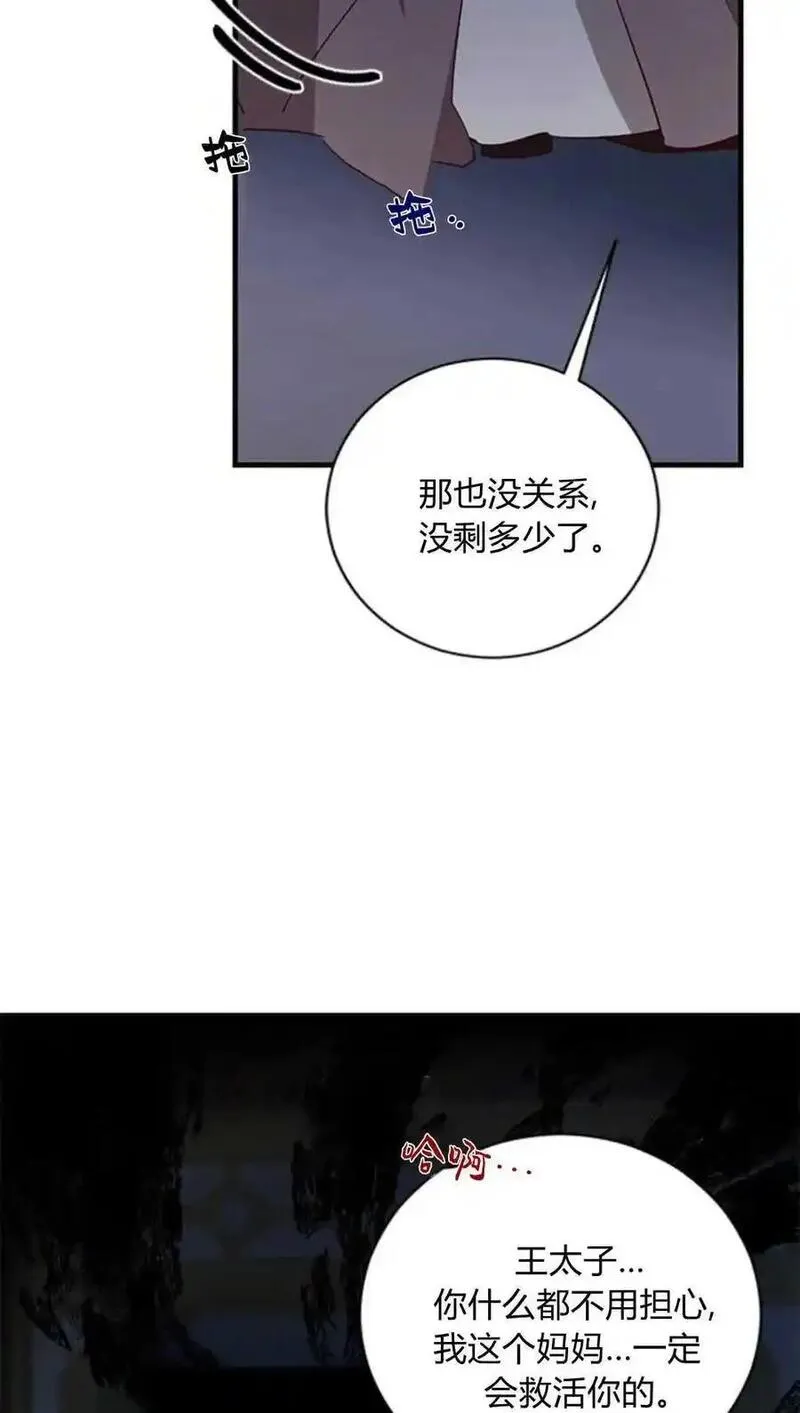 伯爵小姐的双重生活漫画,第75话39图