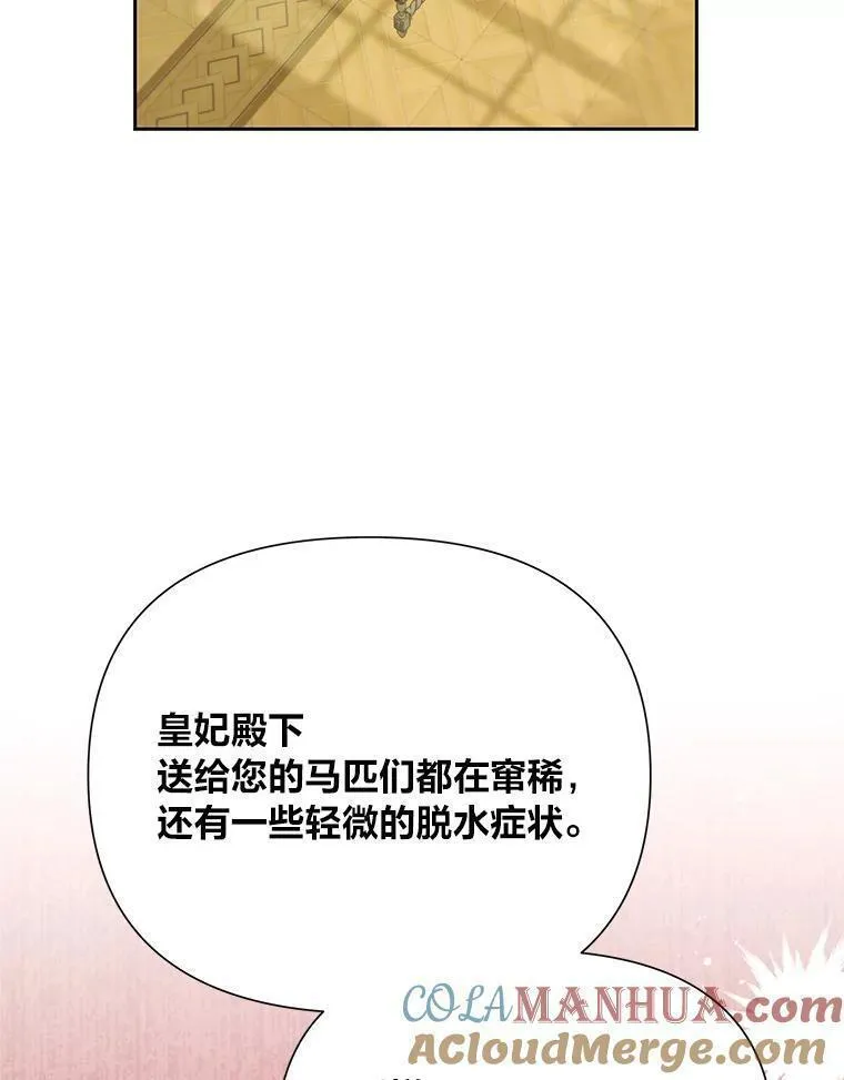 我要和配角谈恋爱漫画在线看漫画,77.真正的背锅侠49图