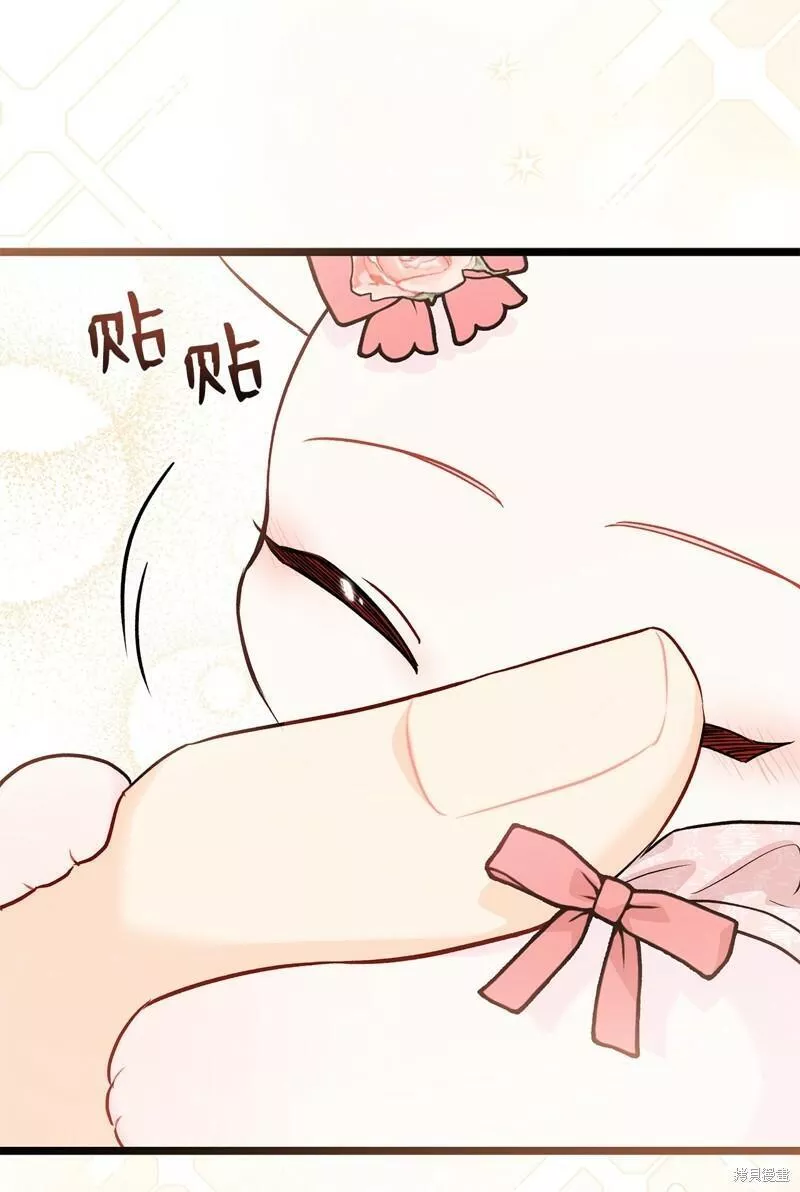 兔子与黑豹的共生关系小说笔趣阁漫画,第97话55图