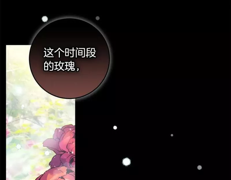 投喂悲剧男二后他想he了免费观看漫画,第47话 温室86图