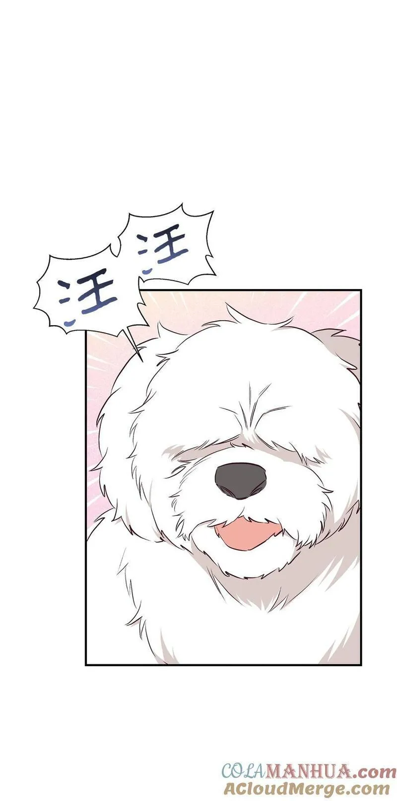 重生后，伯爵夫人要离婚！漫画,71 弃犬49图