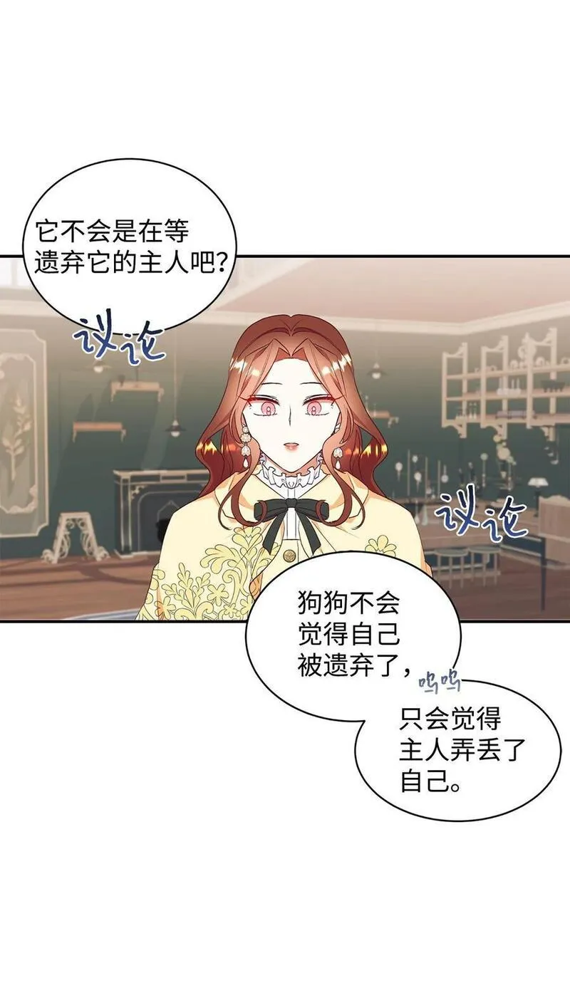 重生后，伯爵夫人要离婚！漫画,71 弃犬36图