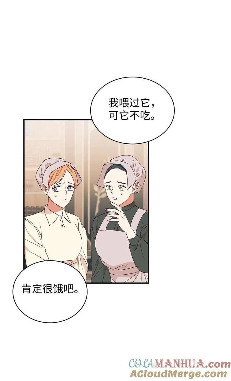 重生后，伯爵夫人要离婚！漫画,71 弃犬34图