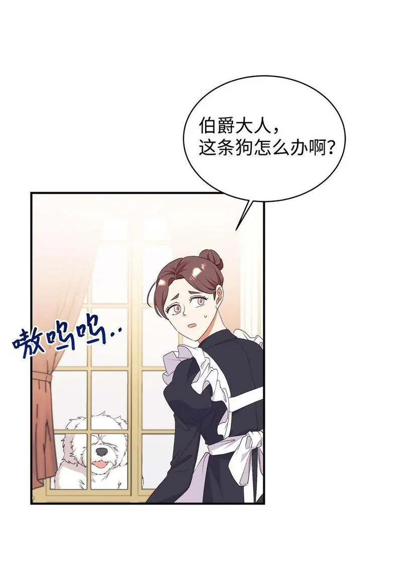 重生后，伯爵夫人要离婚！漫画,72 找上门的狗狗53图