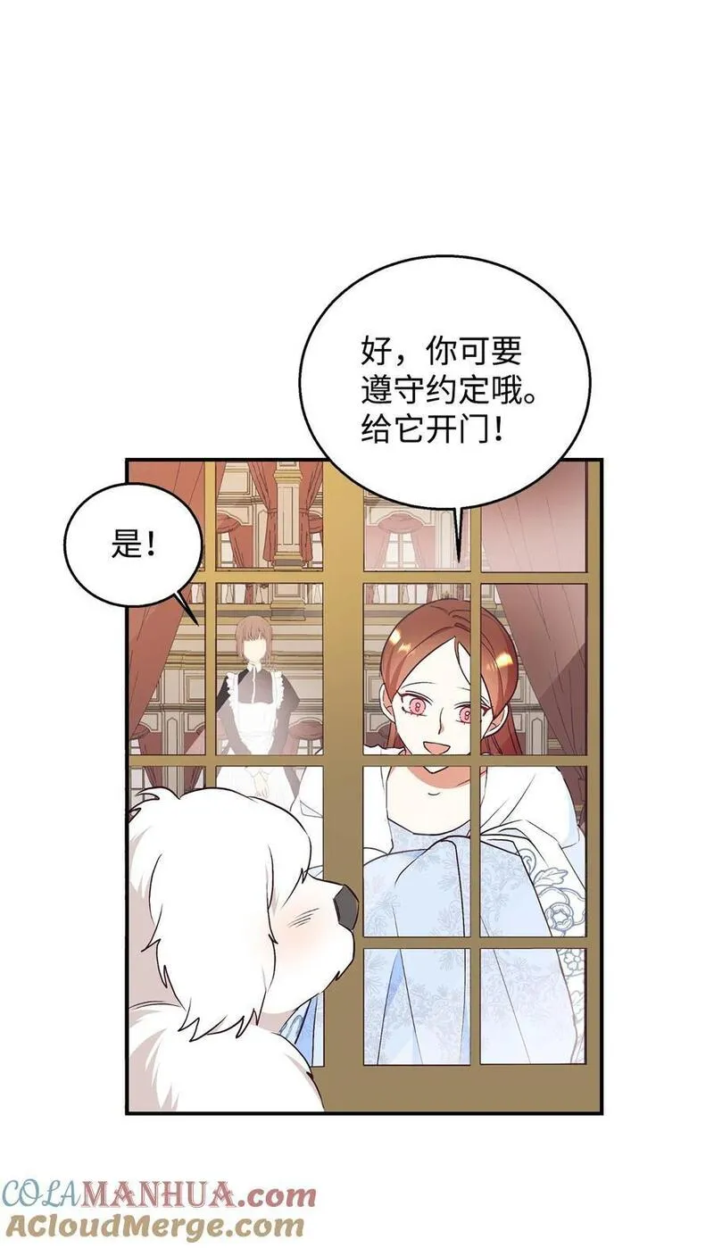 重生后，伯爵夫人要离婚！漫画,72 找上门的狗狗58图