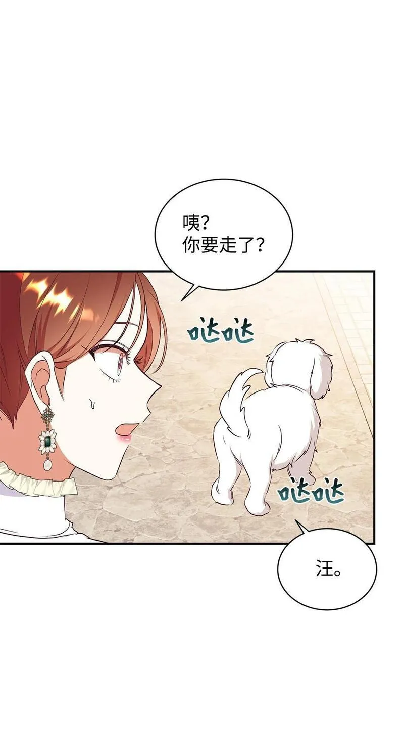 重生后，伯爵夫人要离婚！漫画,72 找上门的狗狗44图