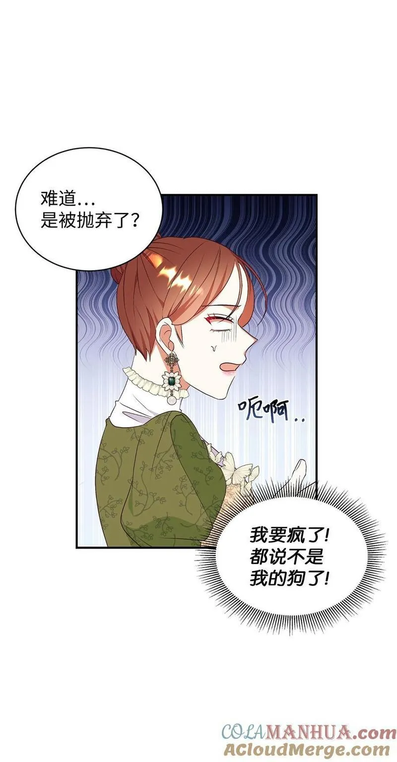 重生后，伯爵夫人要离婚！漫画,72 找上门的狗狗28图