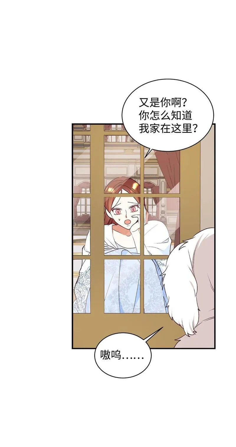 重生后，伯爵夫人要离婚！漫画,72 找上门的狗狗54图