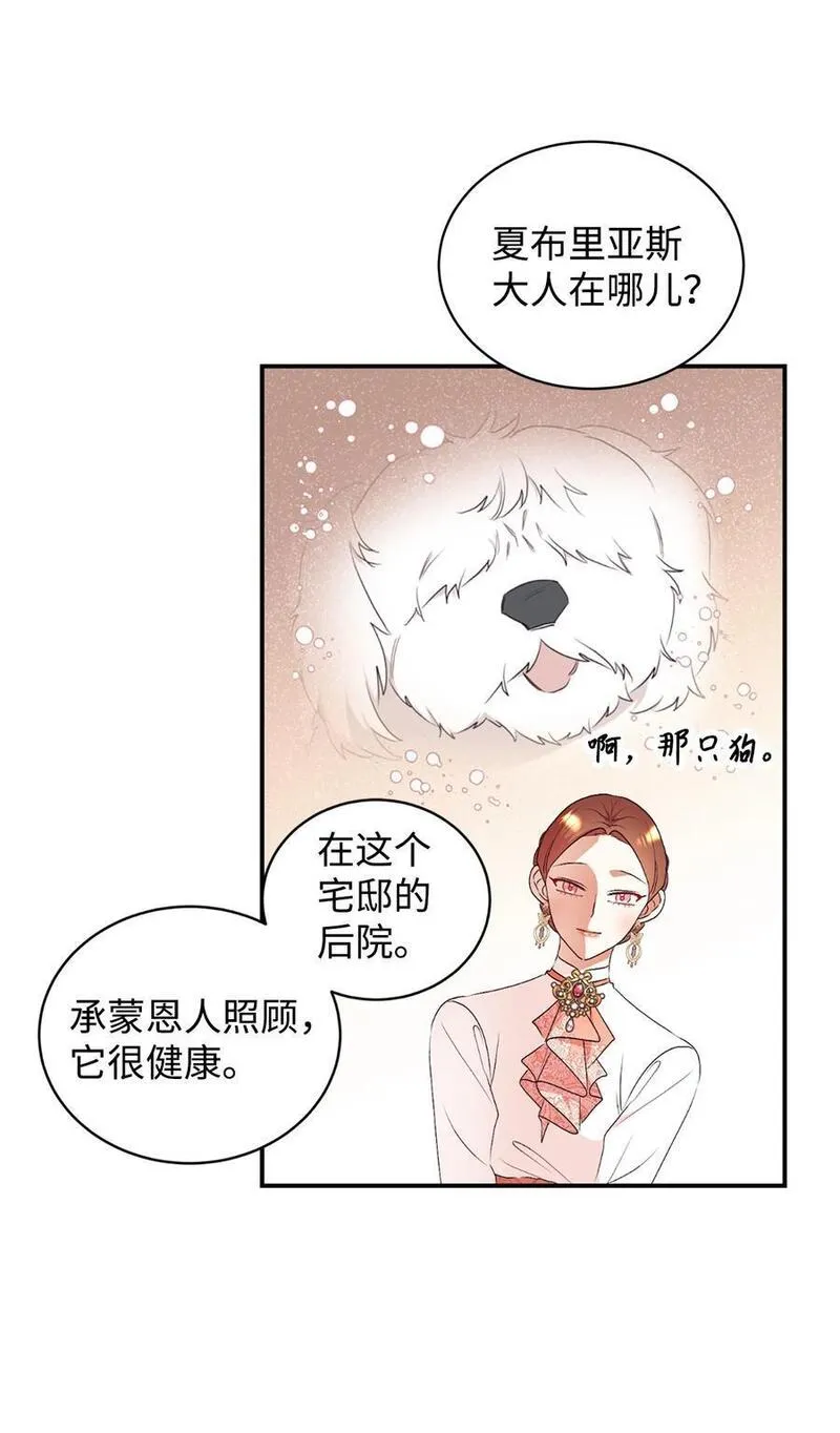 重生后，伯爵夫人要离婚！漫画,78 负责你的前世与今生44图