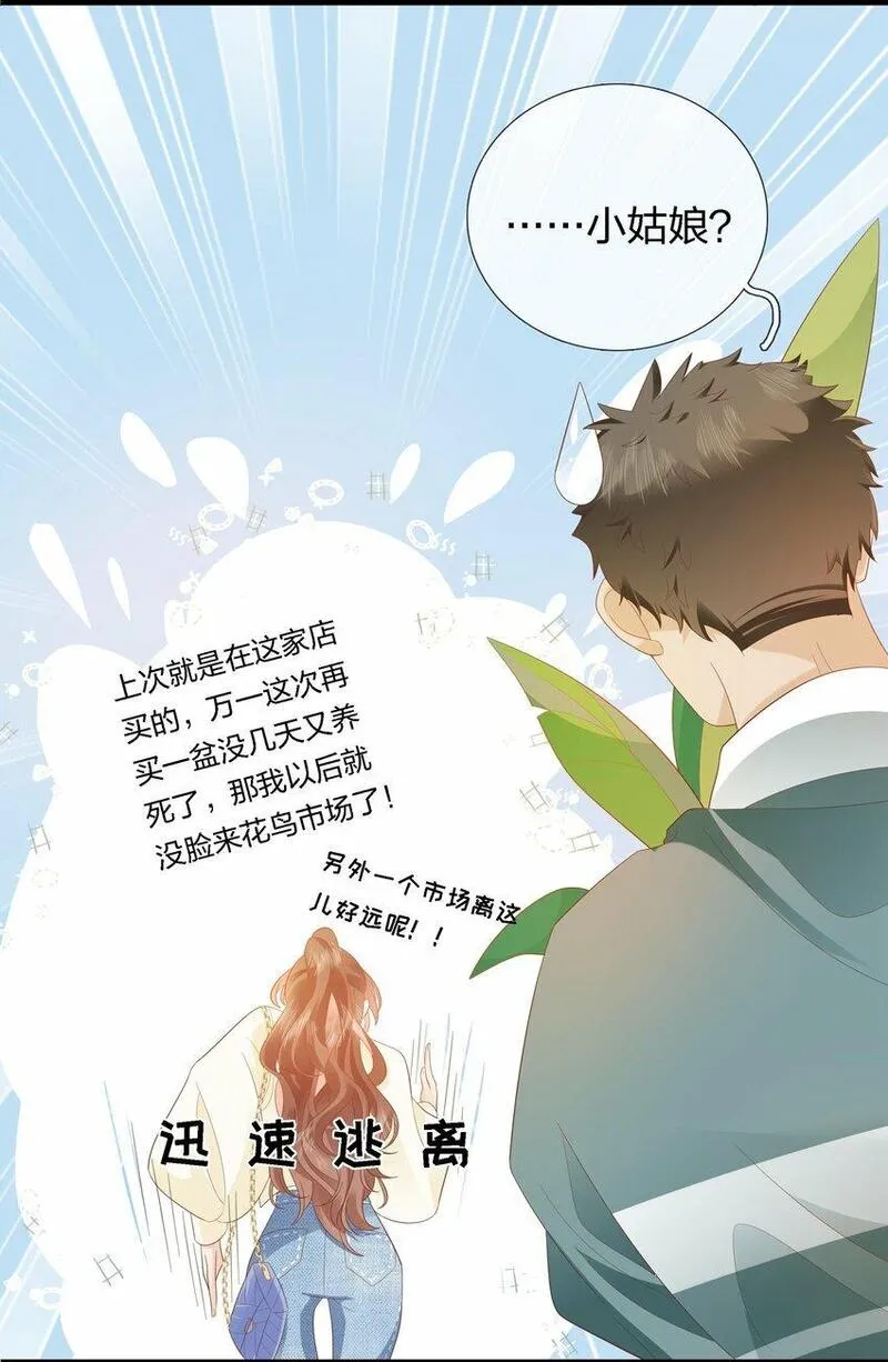 薄教授的小多肉漫画,01 生活区up主的魔咒19图