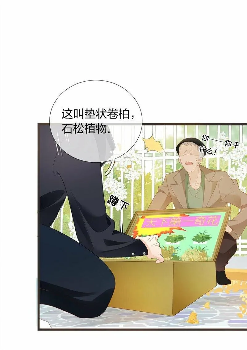 薄教授的小多肉漫画,02 很高兴认识你6图