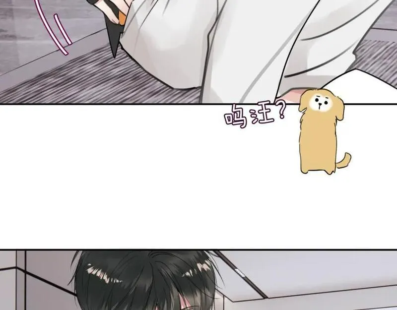 赎罪之犬漫画,是我想的那样吗71图