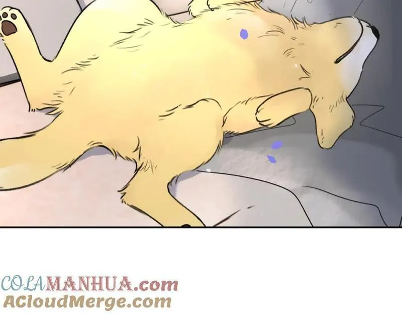 赎罪之犬漫画,是我想的那样吗45图