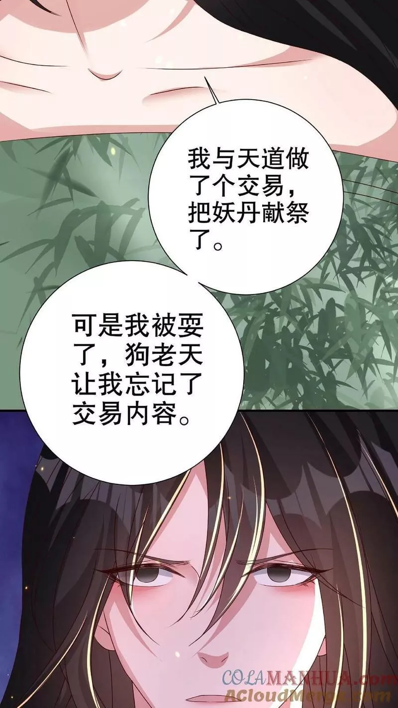 妖皇单身父亲养崽千年阅读漫画,第154话 主子，你一定很爱楚衣候吧？15图