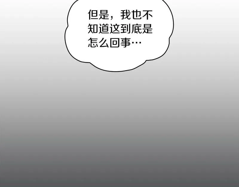 公爵大人的玩具熊漫画,第22话 替你背锅13图