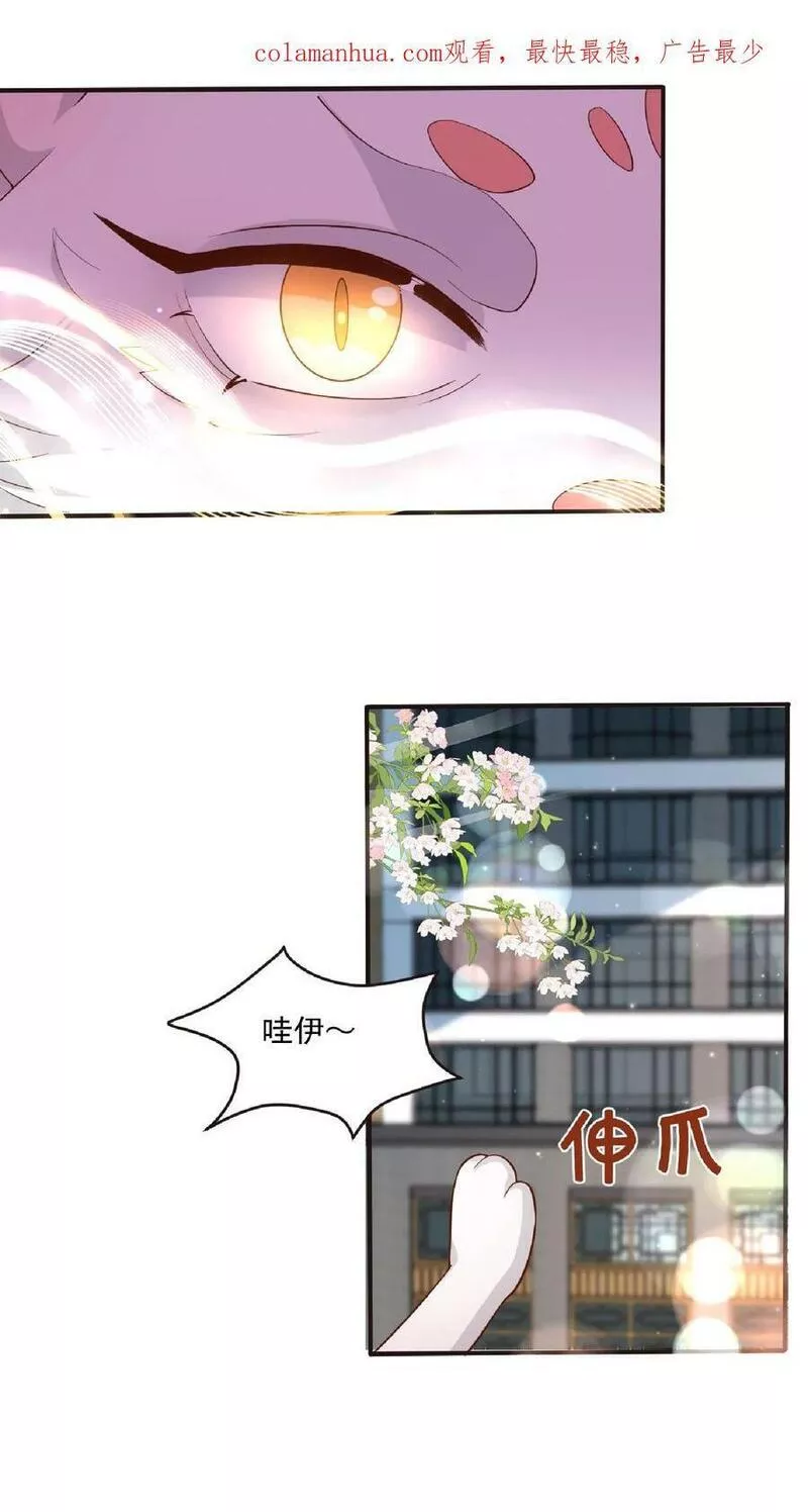 团宠萌宝：四岁小师傅下山了漫画,第98话 狂飙4图