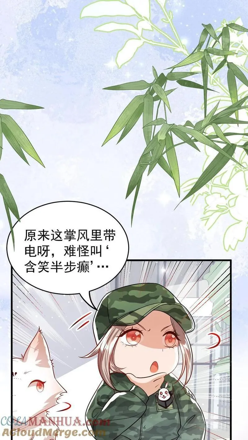 团宠萌宝：四岁小师傅下山了漫画,第239话 含笑半步癫29图