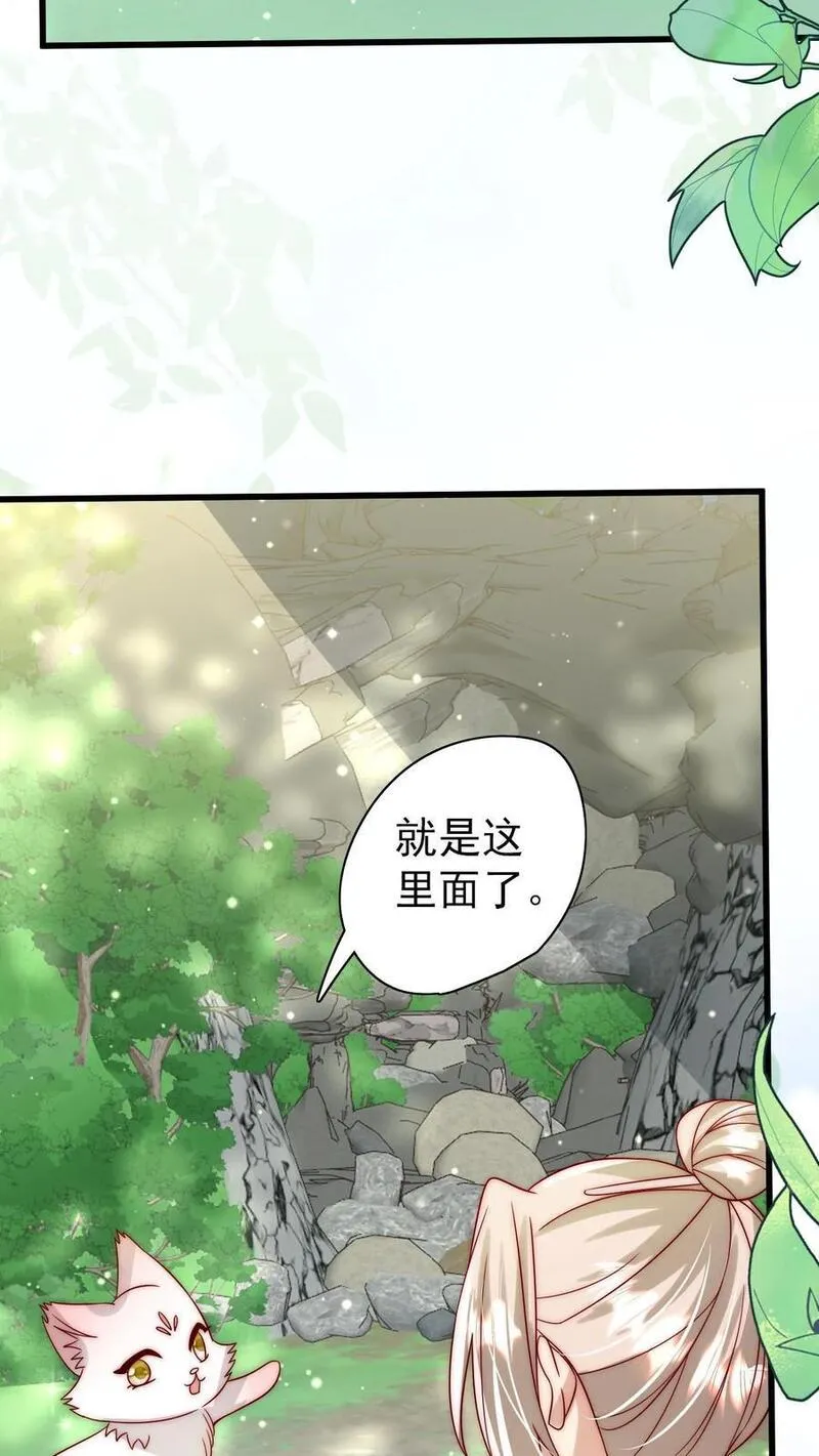 团宠萌宝四岁小师傅下山了小说漫画,第313话 高效杀虫术22图