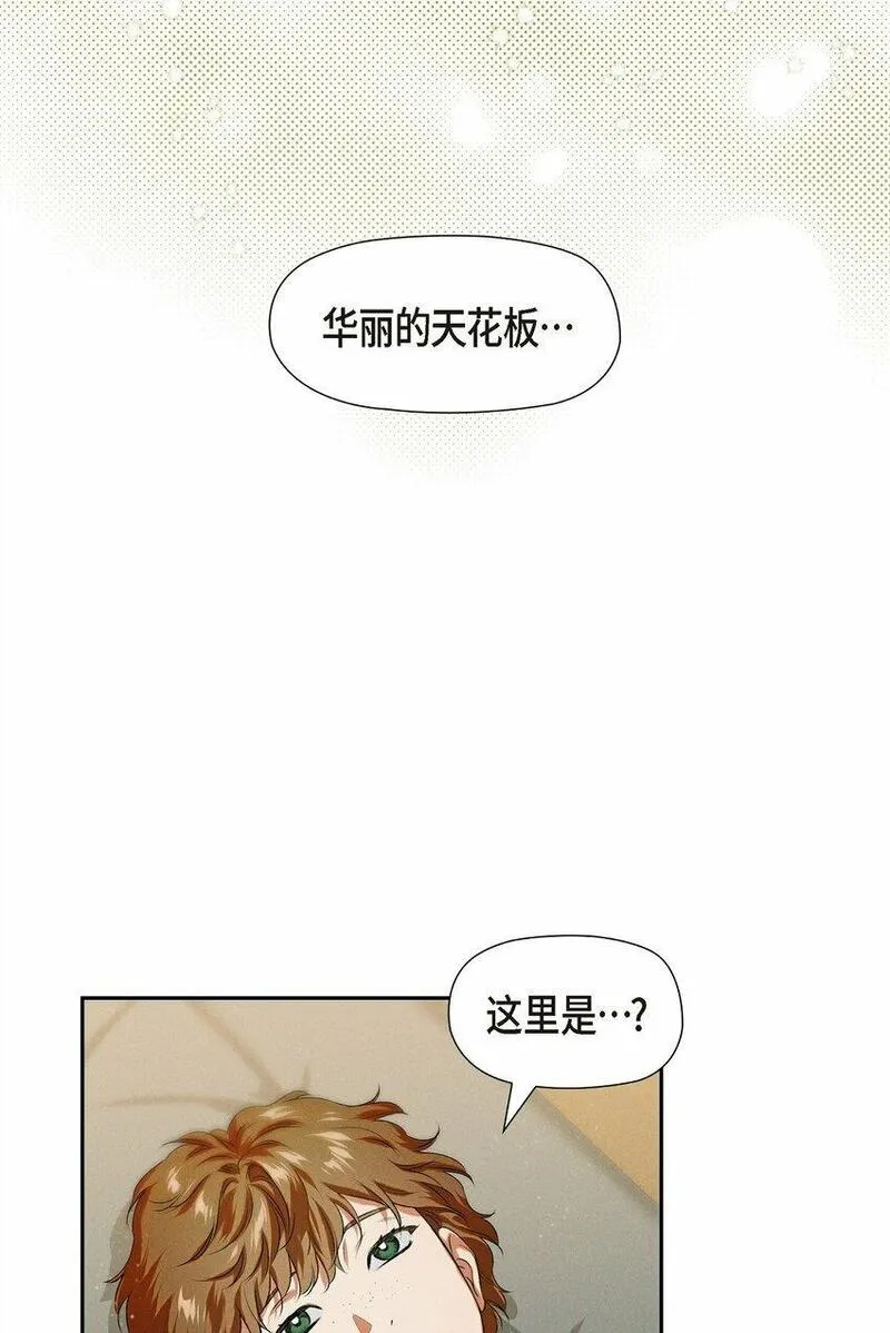 冰灯骑士漫画免费观看下拉式漫画,05 遭遇魔兽63图