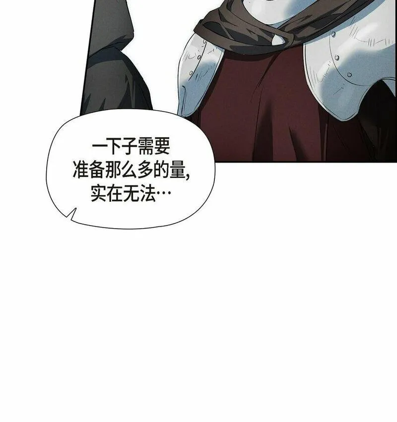 冰灯的拼音漫画,13 入城17图