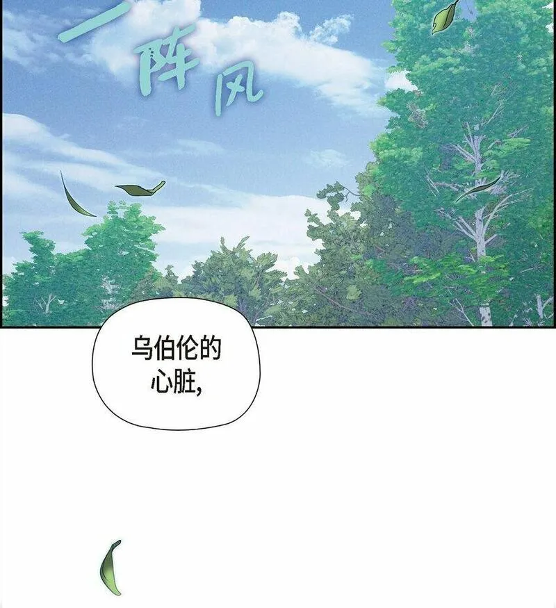 冰灯的拼音漫画,19 阿玛顿9图