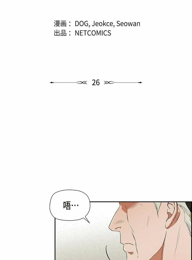 冰灯骑士漫画作者是谁漫画,25 偶遇希瑞尔73图