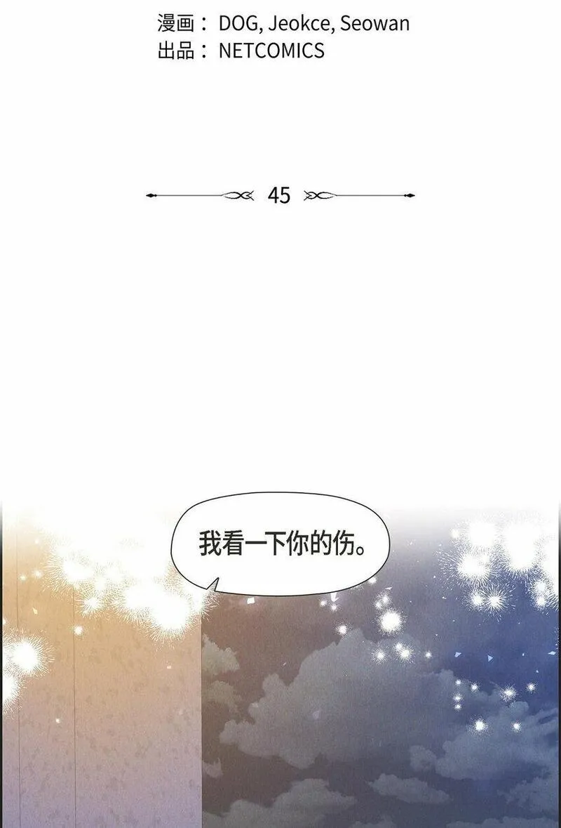 冰灯之光漫画,45 青狮骑士团29图