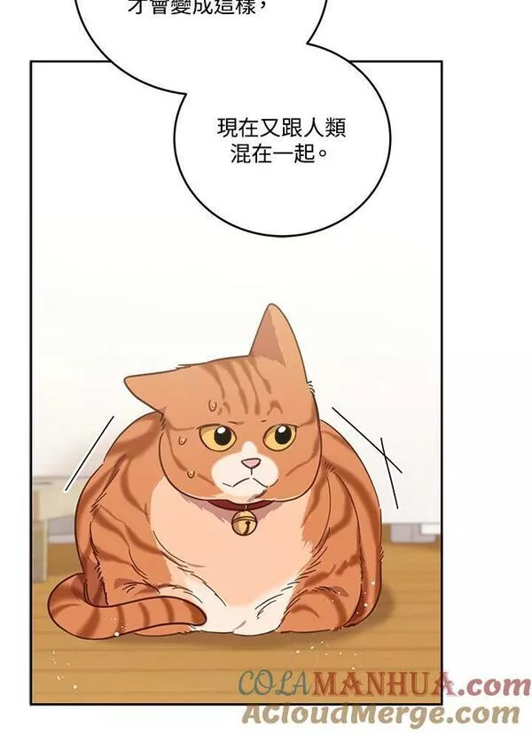 交界地带的动物医院漫画,第74话10图