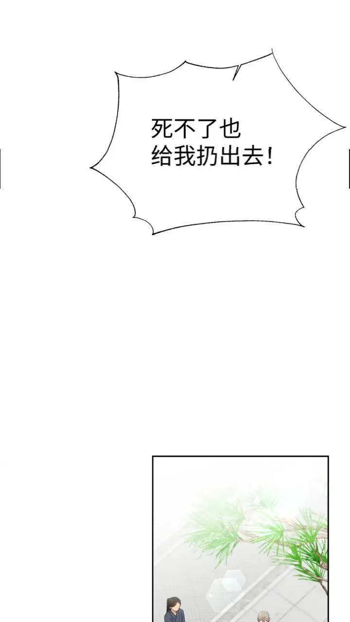 娇娘医经电视剧漫画,57 再见46图