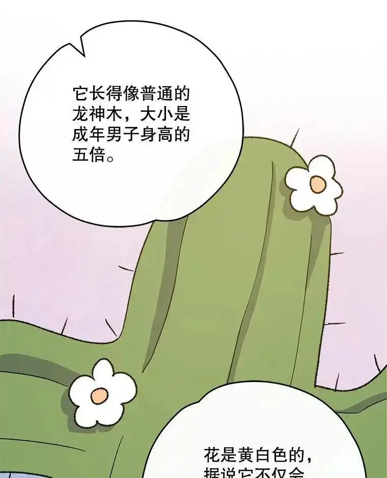 伊格列特漫画,91.寻找千年仙人掌71图