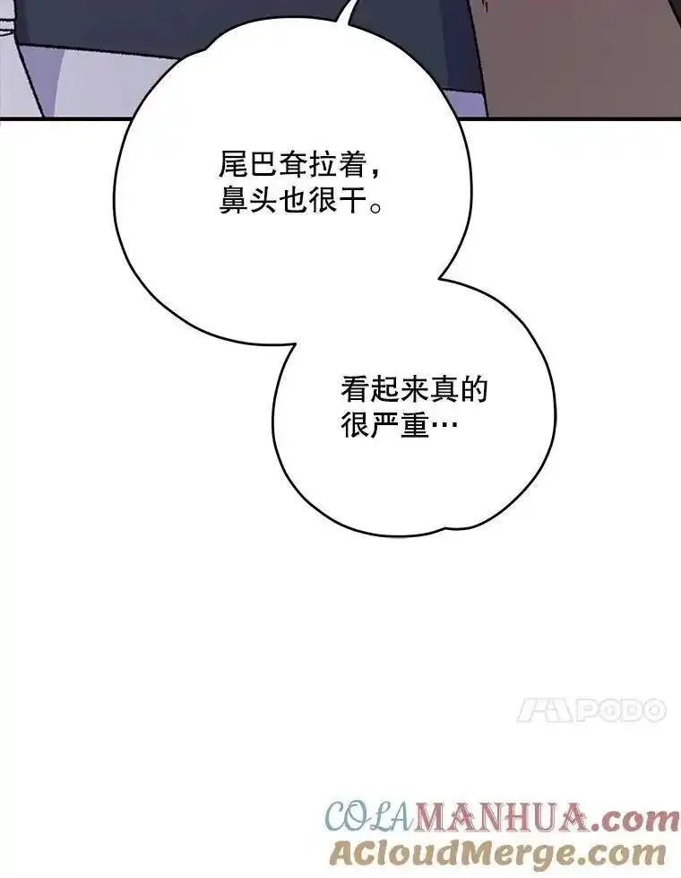 伊格列特漫画,91.寻找千年仙人掌49图