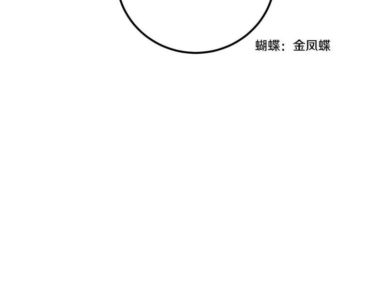 醉蝶花海漫画,第37话 蝴蝶剑75图