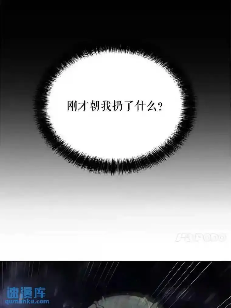 勇士的圣剑升级路漫画,34.双重身份68图