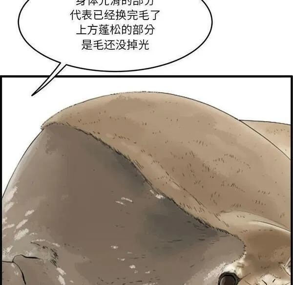 鱼鳞漫画,3078图