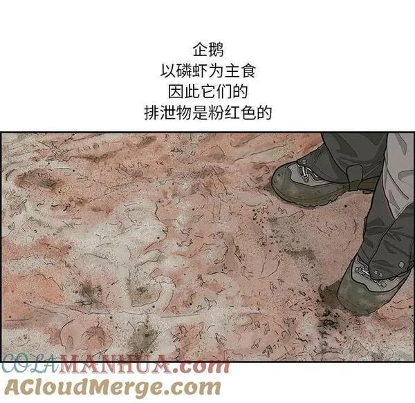 鱼鳞漫画,3137图