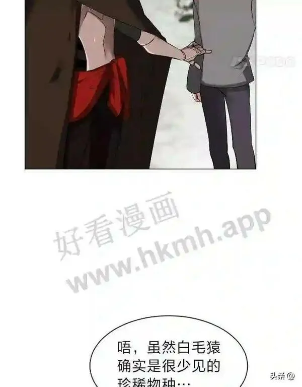 读心少年利沙度漫画,5.白色猛兽54图