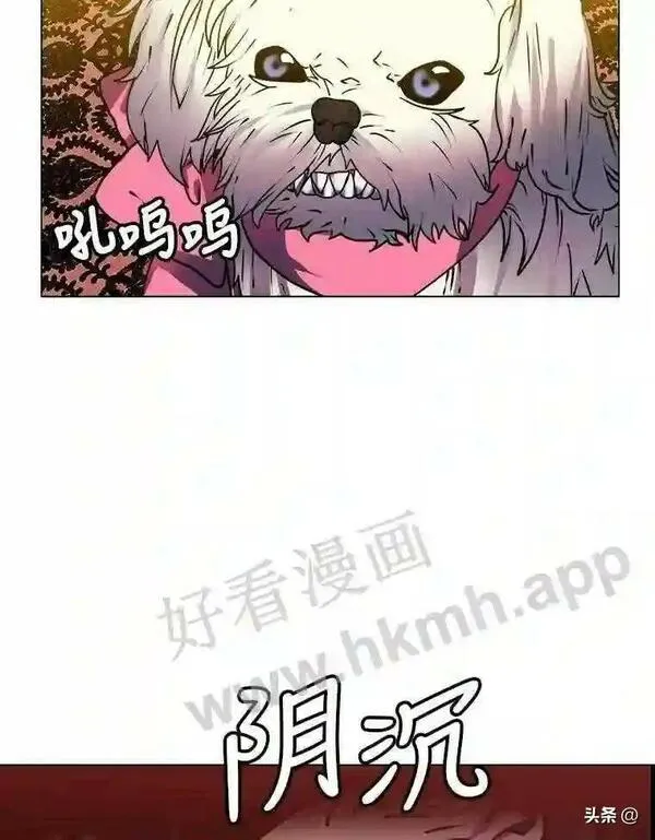 读心少年利沙度漫画,13.第一份委托79图