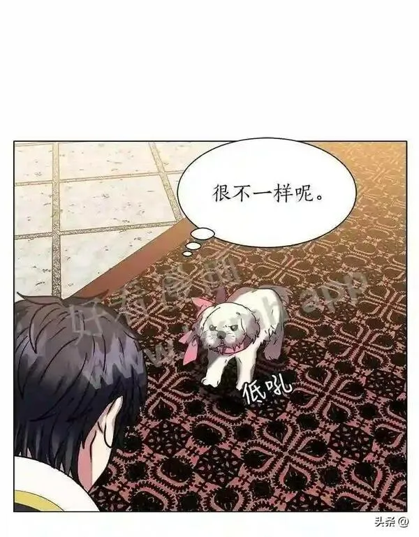 读心少年利沙度漫画,13.第一份委托60图