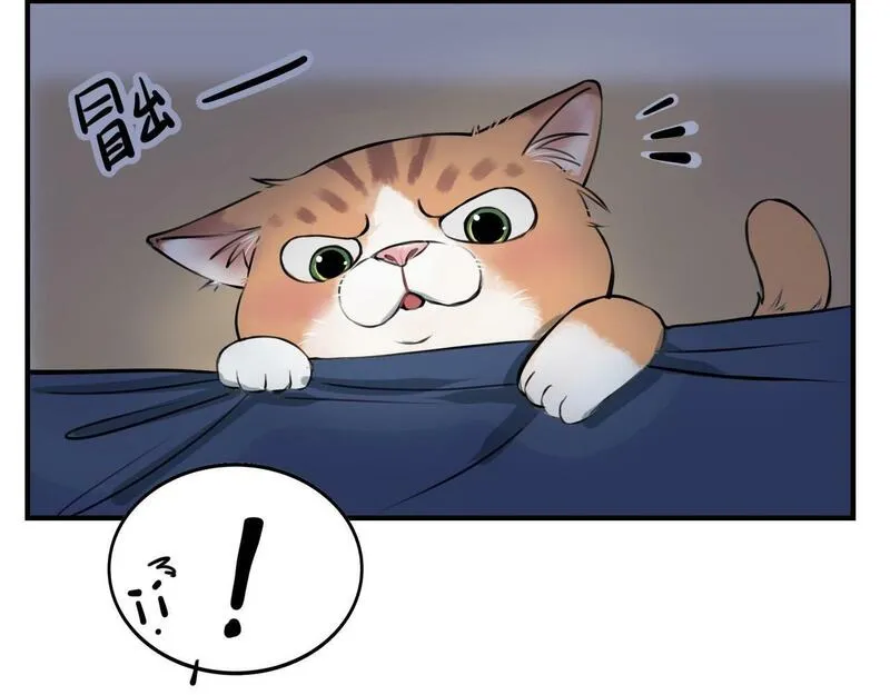 猫猫究竟在想什么？漫画,第4话和猫猫说晚安~46图