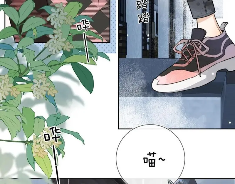 告白视频漫画,第十五话 一个人的秘密58图