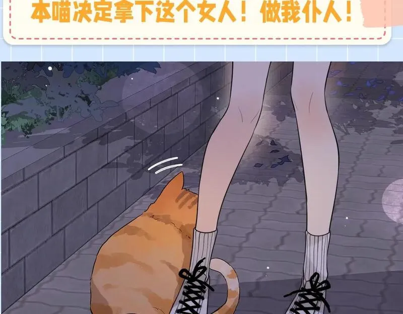 告白漫画,第10期小猫咪日记21图