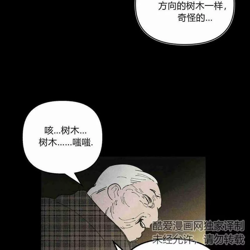 魔女居住的岛屿结局解析漫画,第31话86图